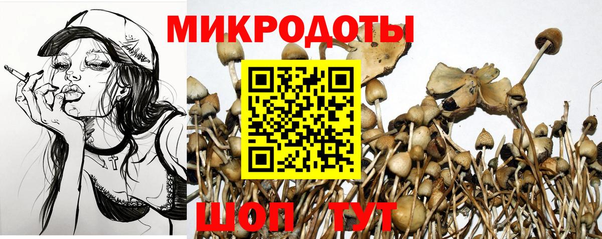 Псилоцибиновые грибы прущие грибы Минусинск